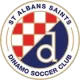 Logo St Albans Saints